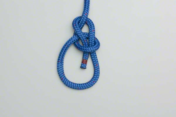 bowline-knot-2